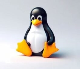 GNU / LINUX 14 heures