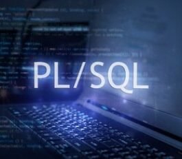 Programmation – Oracle PL/SQL 7 heures